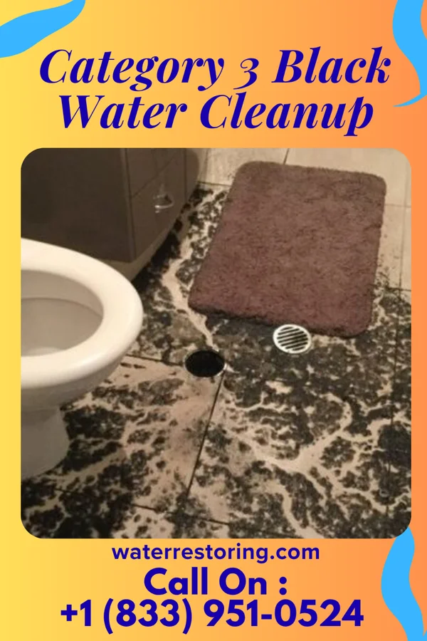 Category 3 Black Water Cleanup in Connellsville, PA