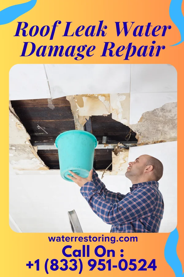Roof Leak Water Damage Repair in Connellsville, PA