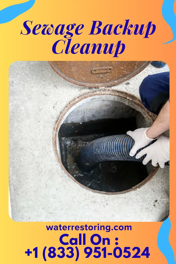 Sewage Backup Cleanup in Connellsville, PA