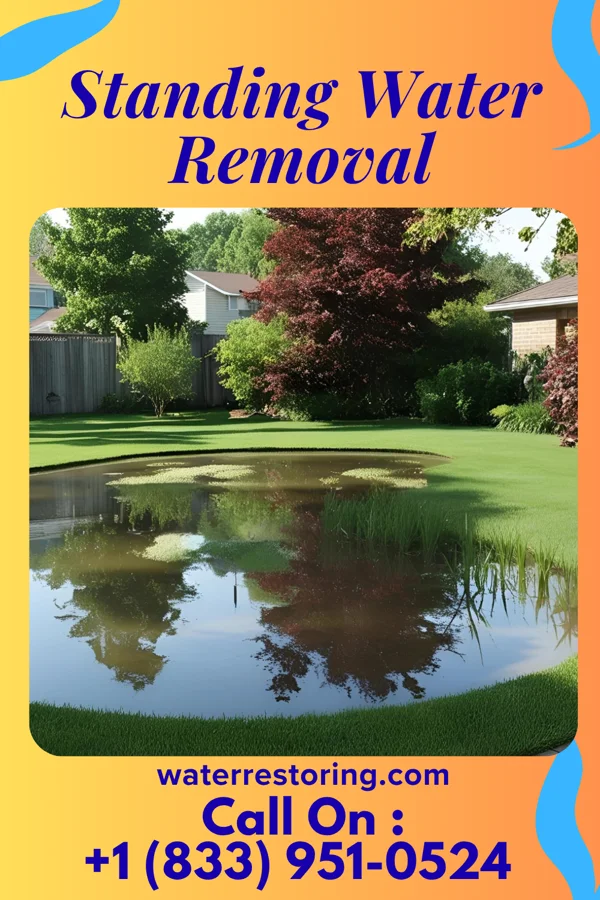Standing Water Removal in Connellsville, PA